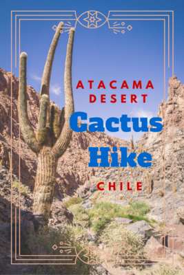 6 Mile Trek through the Los Cardones Ravine in the Atacama Desert of Chile. | www.eatworktravel.com